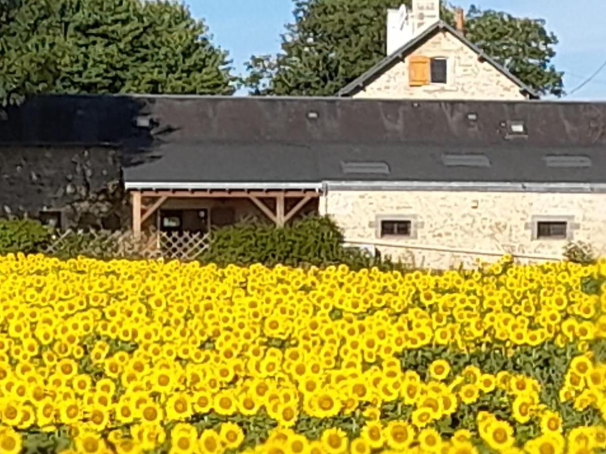 3 Self-Contained Gites With Pool And Games Room Saint-Georges-de-Noisné 외부 사진